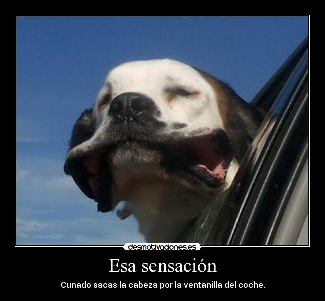 Esa sensación - Cunado sacas la cabeza por la ventanilla del coche.