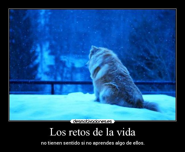 carteles vida retos vida aprender sentido desmotivaciones