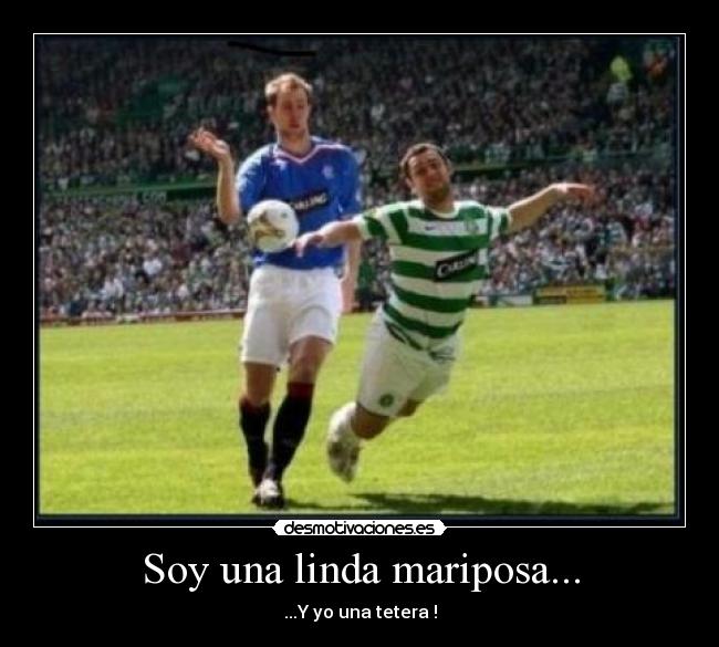 Soy una linda mariposa... -