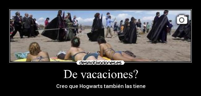 carteles vaca desmotivaciones