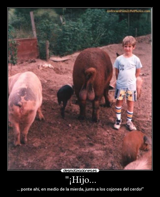 ¡Hijo... - ... ponte ahí, en medio de la mierda, junto a los cojones del cerdo!