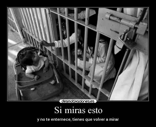 Si miras esto - y no te enternece, tienes que volver a mirar