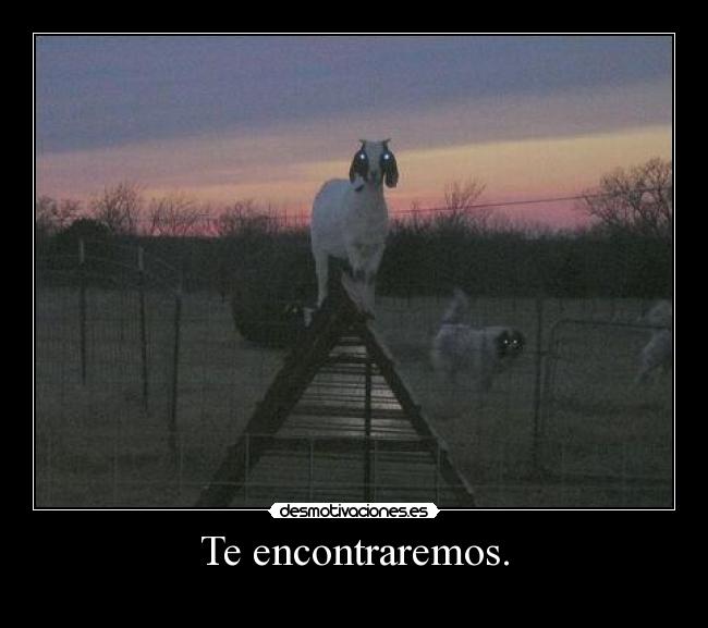 Te encontraremos. - 