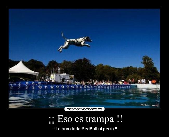 ¡¡ Eso es trampa !! - ¡¡ Le has dado RedBull al perro !!