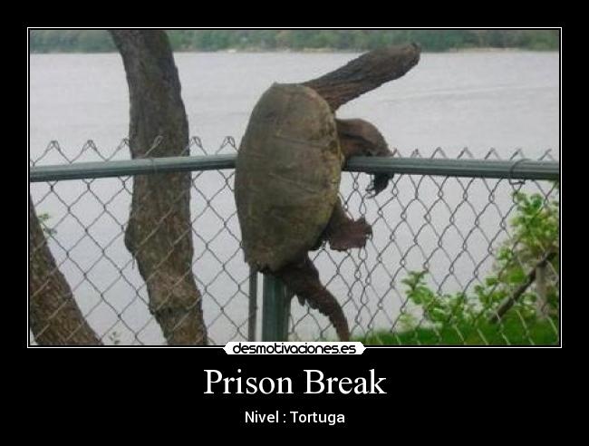 Prison Break - Nivel : Tortuga