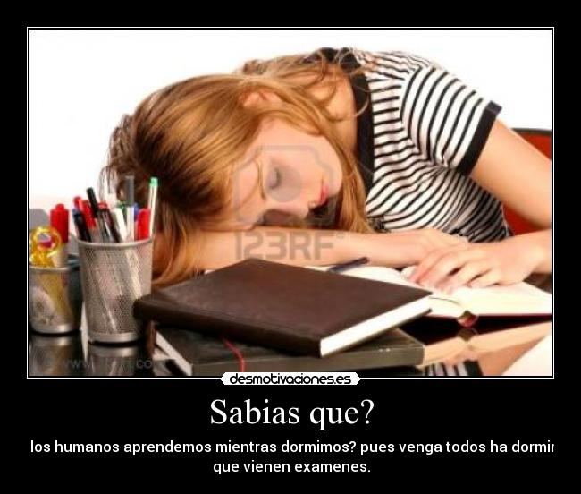 Sabias que? - los humanos aprendemos mientras dormimos? pues venga todos ha dormir
que vienen examenes.