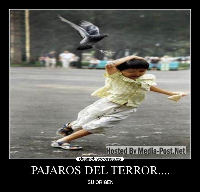 PAJAROS DEL TERROR.... - SU ORIGEN