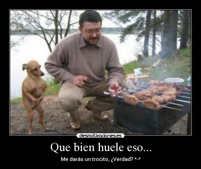 Que bien huele eso... - Me darás un trocito, ¿Verdad? *-*