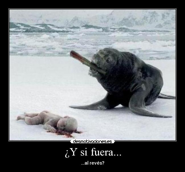 ¿Y si fuera... - ...al revés?