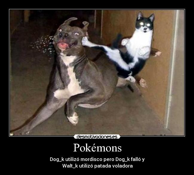 Pokémons - 