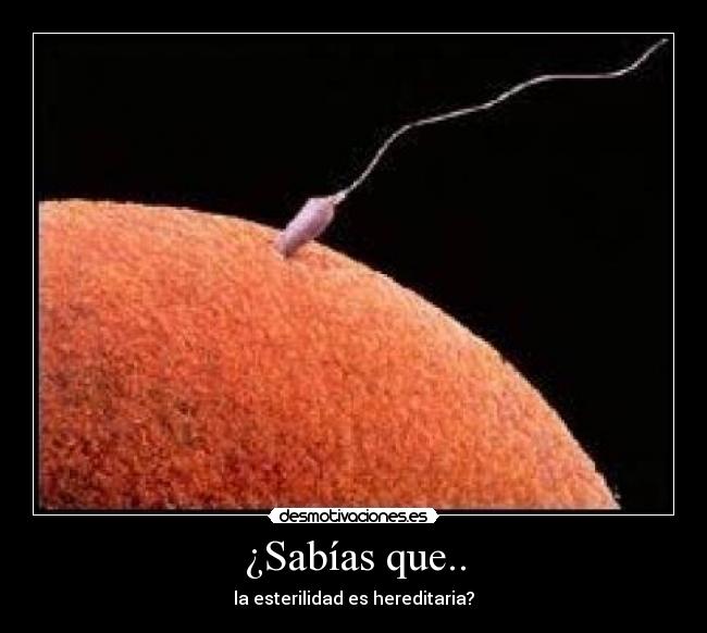 ¿Sabías que.. - la esterilidad es hereditaria?
