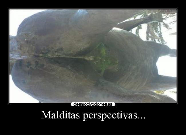Malditas perspectivas... -