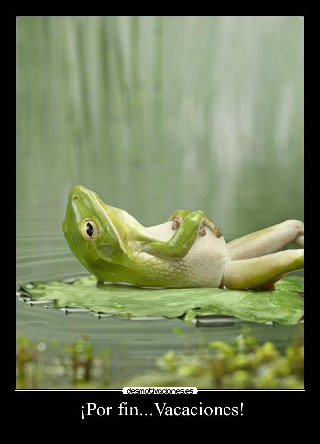 carteles rana vacaciones ferminelefiero desmotivaciones