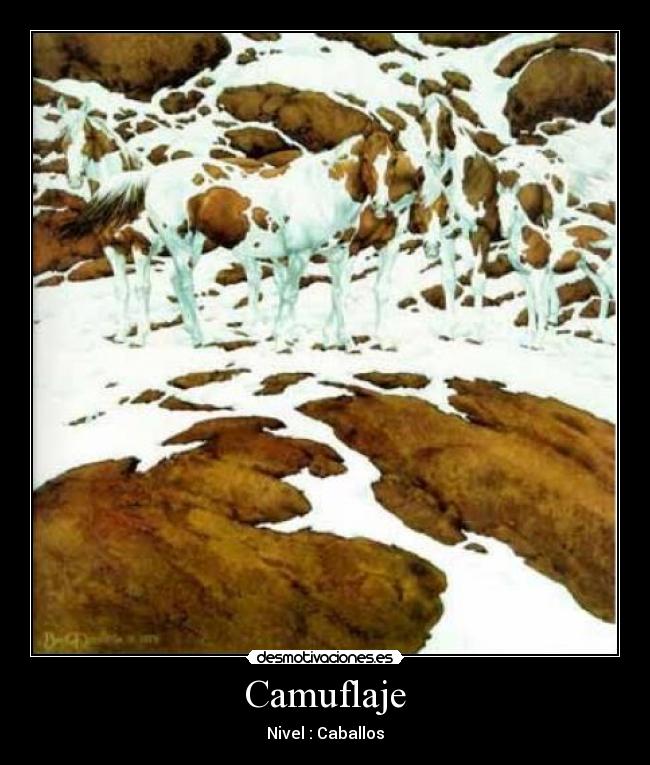 Camuflaje - Nivel : Caballos