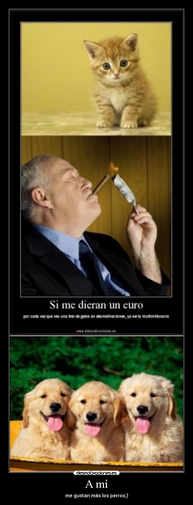 A mí - me gustan más los perros;)