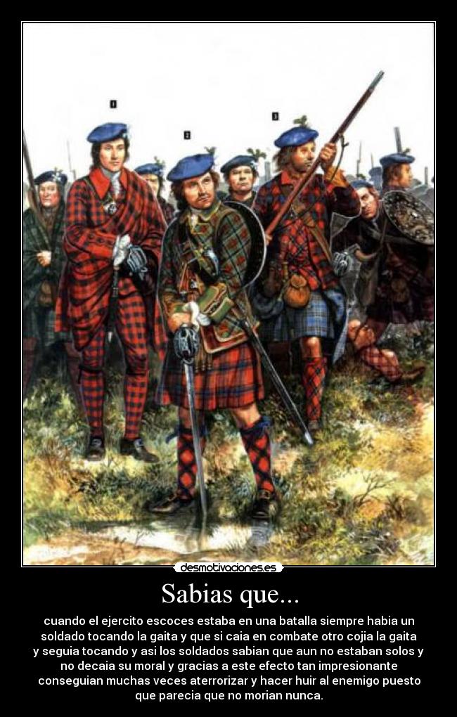 Sabias que... - cuando el ejercito escoces estaba en una batalla siempre habia un
soldado tocando la gaita y que si caia en combate otro cojia la gaita
y seguia tocando y asi los soldados sabian que aun no estaban solos y
no decaia su moral y gracias a este efecto tan impresionante
conseguian muchas veces aterrorizar y hacer huir al enemigo puesto
que parecia que no morian nunca.