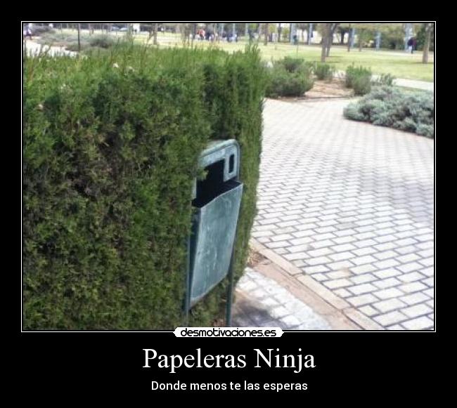Papeleras Ninja - Donde menos te las esperas