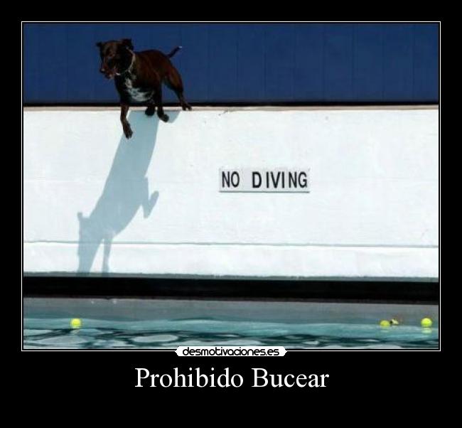 Prohibido Bucear -