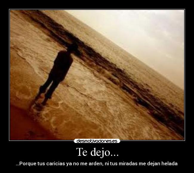 Te dejo... - 