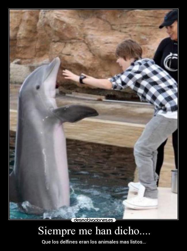 Siempre me han dicho.... - Que los delfines eran los animales mas listos...