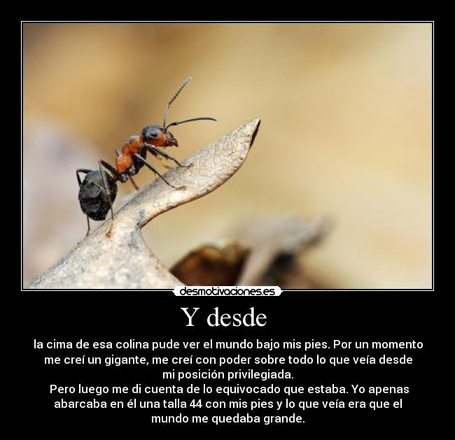 Y desde  - la cima de esa colina pude ver el mundo bajo mis pies. Por un momento
me creí un gigante, me creí con poder sobre todo lo que veía desde
mi posición privilegiada.
 Pero luego me di cuenta de lo equivocado que estaba. Yo apenas
abarcaba en él una talla 44 con mis pies y lo que veía era que el
mundo me quedaba grande.