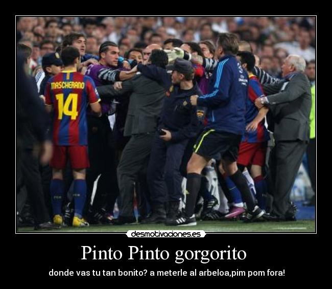 Pinto Pinto gorgorito -