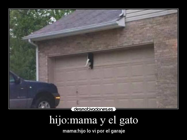 hijo:mama y el gato -