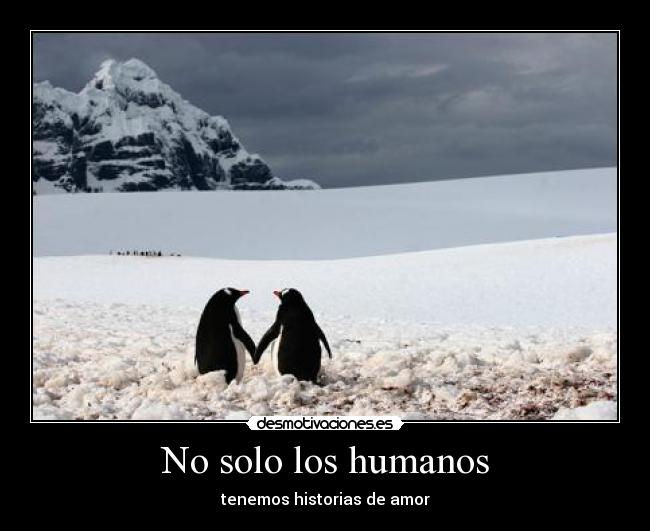 No solo los humanos - 
