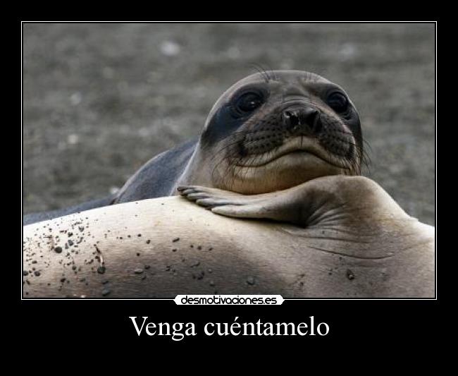 Venga cuéntamelo - 
