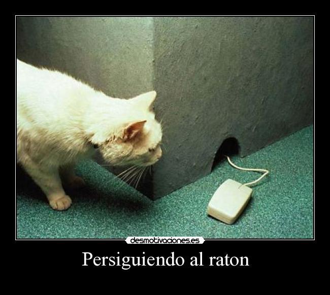 Persiguiendo al raton - 