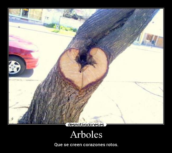 Arboles - Que se creen corazones rotos.