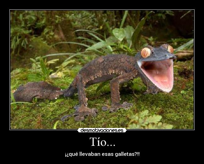 Tío... - ¡¿qué llevaban esas galletas?!!