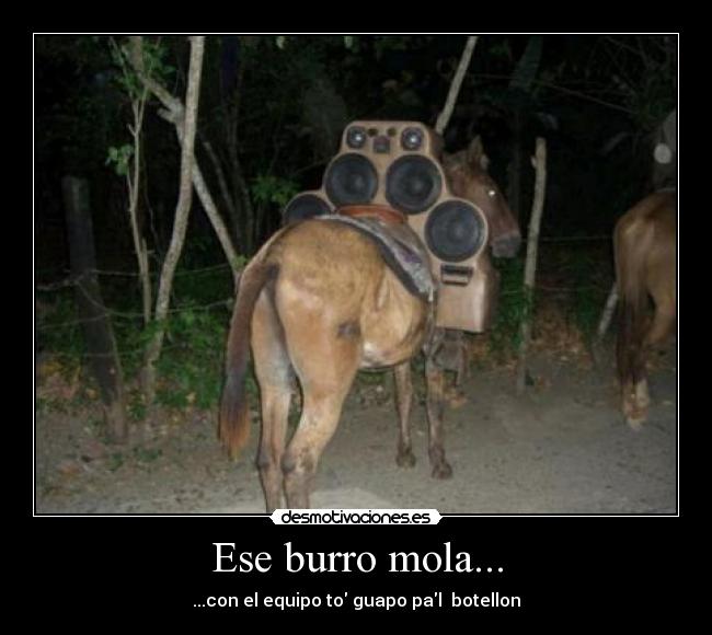 Ese burro mola... -