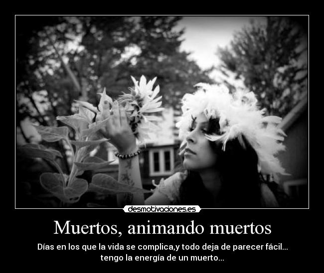 Muertos, animando muertos -