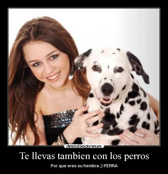 Te llevas tambien con los perros - Por que eres su hembra ;) PERRA
