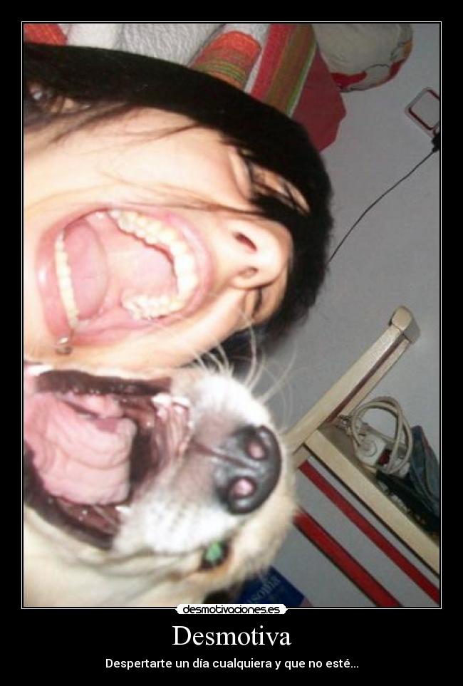 Desmotiva - Despertarte un día cualquiera y que no esté...