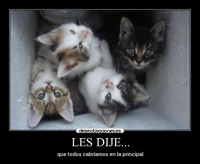 LES DIJE... -