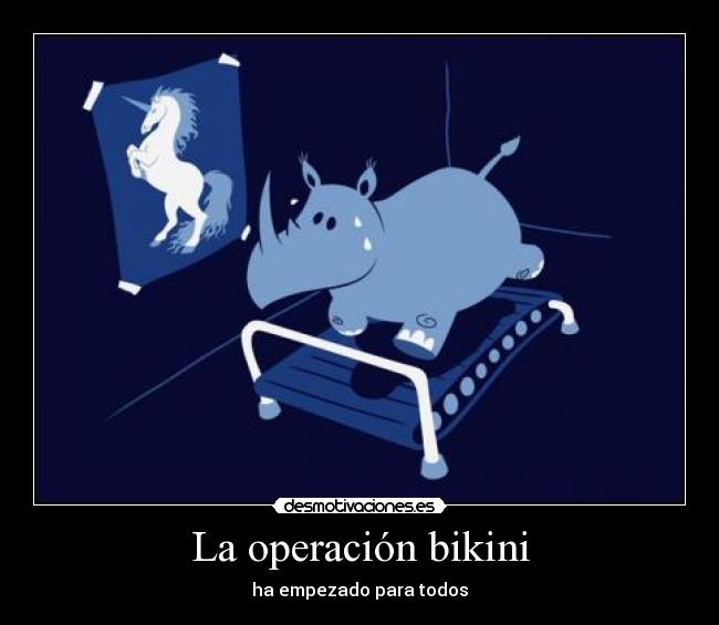 carteles rinoceronte adelgazar unicornio bikini kilos desmotivaciones