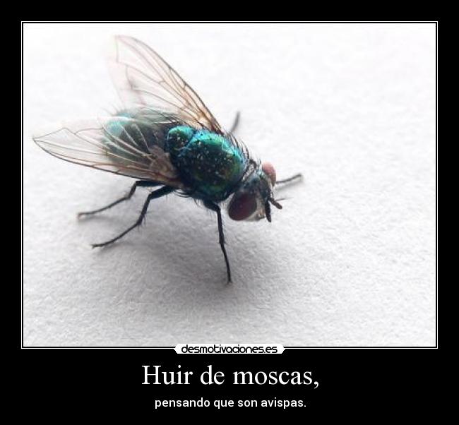 Huir de moscas, - pensando que son avispas.