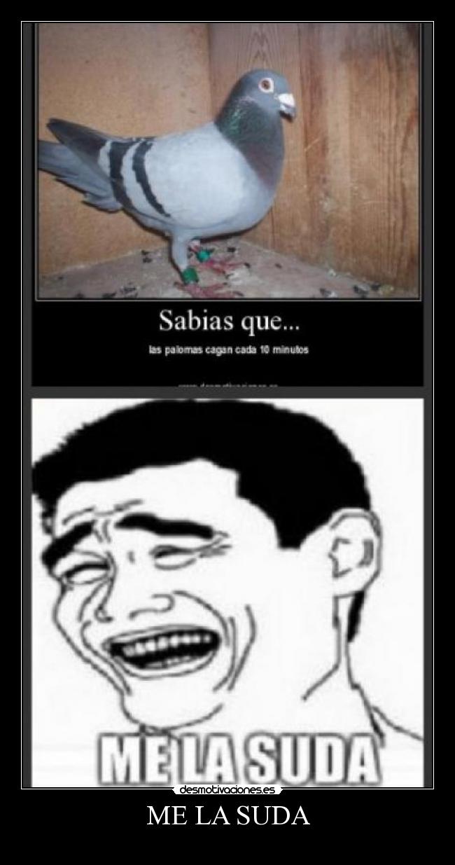 ME LA SUDA -