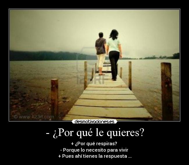 - ¿Por qué le quieres? -
