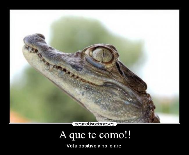 A que te como!! -