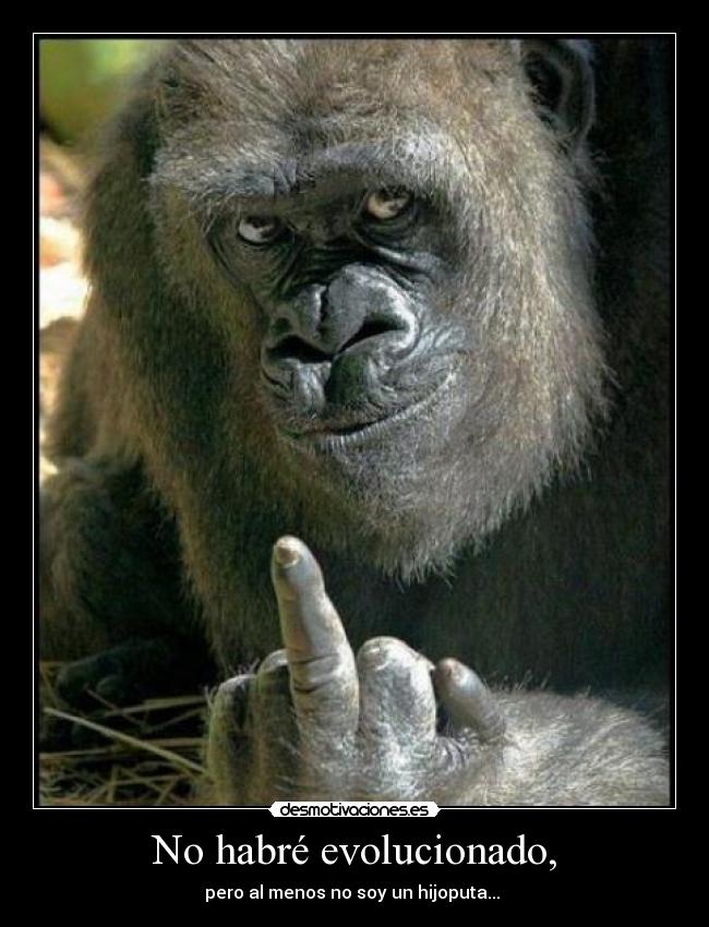 No habré evolucionado, - 