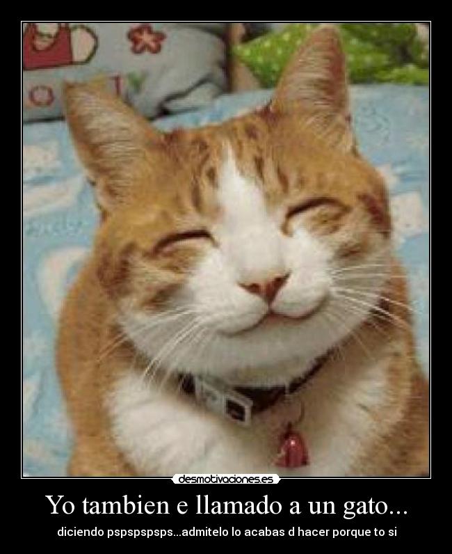 carteles lorena desmotivaciones