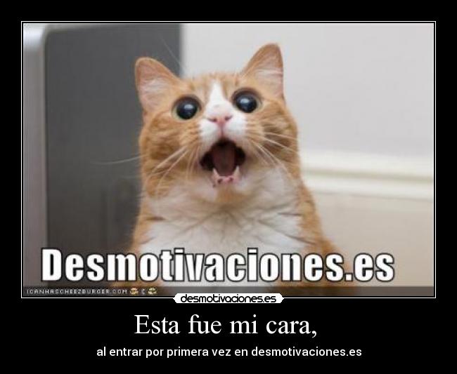 Esta fue mi cara,  - 