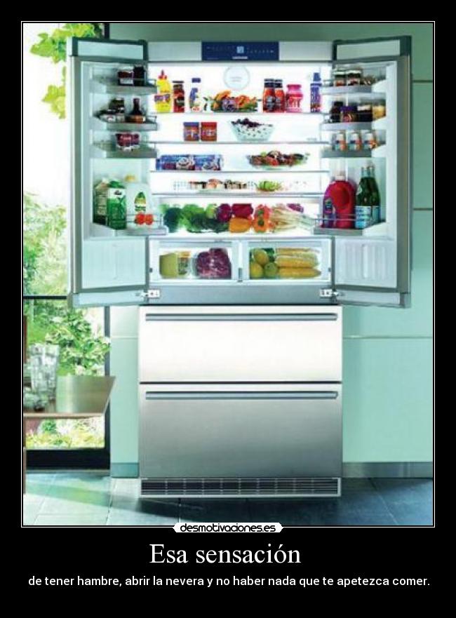 carteles esa sensacion desmotivaciones