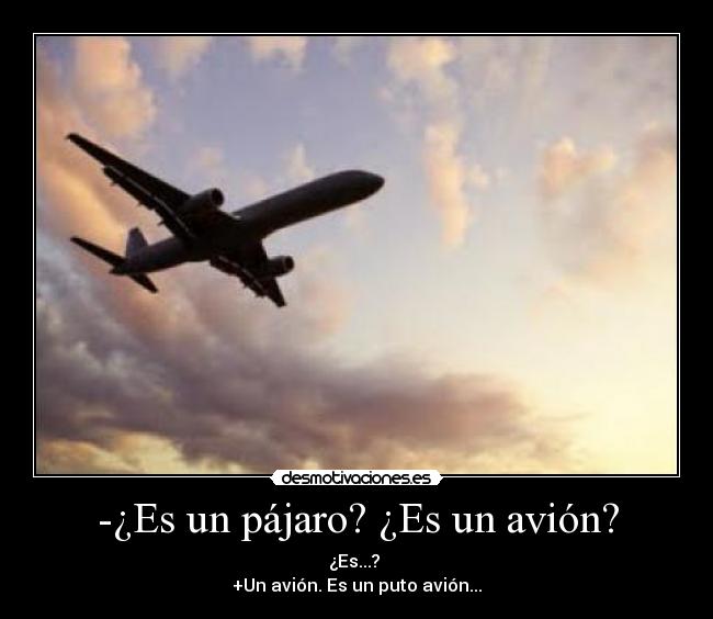 -¿Es un pájaro? ¿Es un avión? - ¿Es...? 
+Un avión. Es un puto avión...