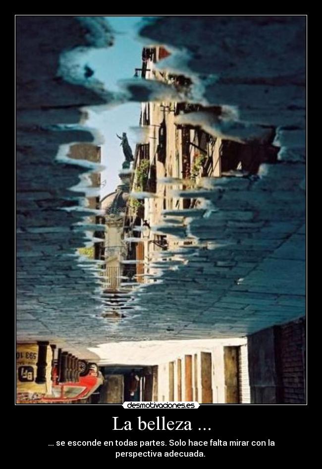 La belleza ... - ... se esconde en todas partes. Solo hace falta mirar con la perspectiva adecuada. 