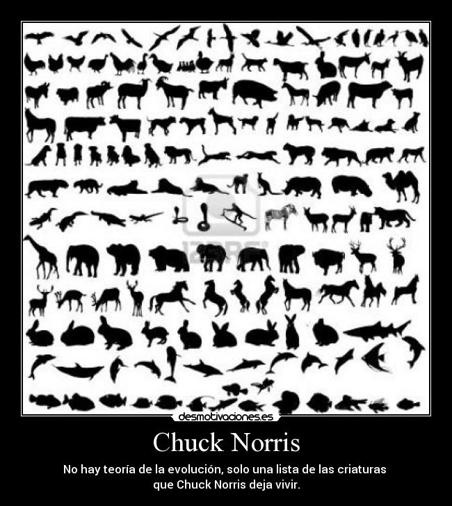 Chuck Norris -