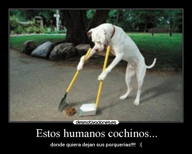 Estos humanos cochinos... -